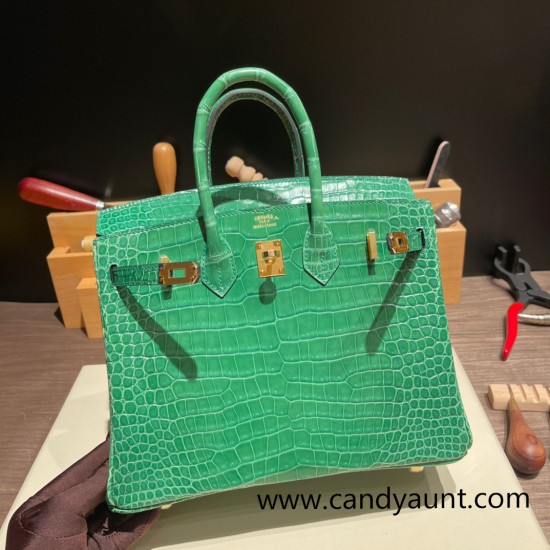 Hermes Birkin25 porous Crocodile 1L/Cactus Gold Hardware Full Handmade 003