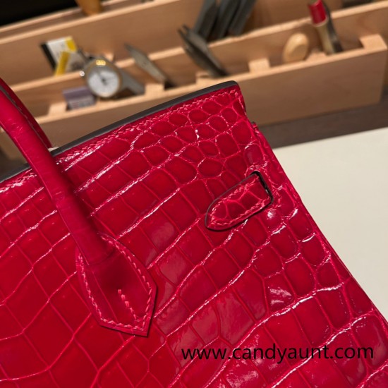 Hermes Birkin25 Crocodile Niloticus Q5/Rouse CasaqueGold Hardware Full Handmade 007