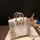 Hermes Birkin25 Crocodile Niloticus Himalaya 01Gold Hardware Full Handmade 008