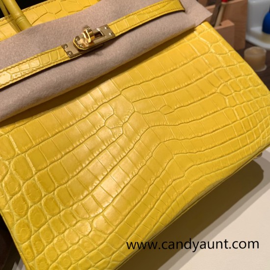 Hermes Birkin25 Crocodile Niloticus M9 / mimosa Gold Hardware Full Handmade 010