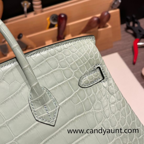 Hermes Birkin25 Alligator Crocodile 6u/vert deau Silver Hardware Full Handmade 012