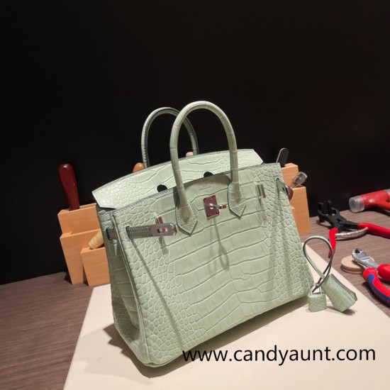 Hermes Birkin25 Alligator Crocodile 6u/vert deau Silver Hardware Full Handmade 012