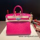 Birkin25 Ostrich& Crocodile 8T Rose Candy& 5J Fuschia Silver Hardware Full Handmade 018