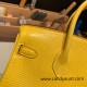 Hermes Birkin 25cm Lizard 9L/CANARI Gold Hardware Full Handmade 039