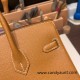 Hermes Birkin 25cm Epsom 37 /Gold Gold Hardware Full Handmade 049