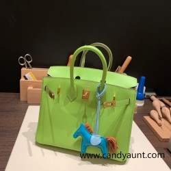 Hermes Birkin 25cm Epsom 6R/ Kiwi Gold Hardware Full Handmade 069