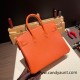 Hermes Birkin 25cm togo R1/Terre Battue Silver Hardware Full Handmade 093