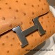 Hermes Constance 19cm ostrich 9H/ Soleil Silver Hardware 18cm Full Handmade