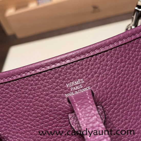 HERMES TPM Mini Evelyn Clemence P9 /Anemone SilverHardware