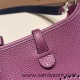 HERMES TPM Mini Evelyn Clemence P9 /Anemone SilverHardware