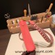 HERMES TPM Mini Evelyn Clemence U5/ Rose Lipstick GoldHardware