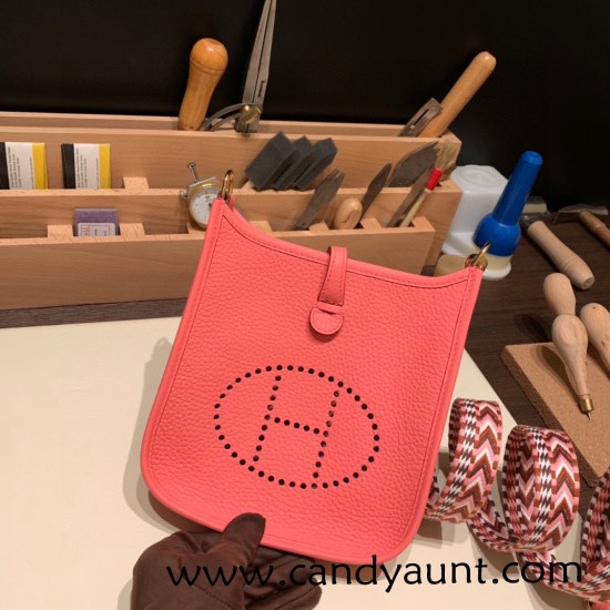 HERMES TPM Mini Evelyn Clemence U5/ Rose Lipstick GoldHardware