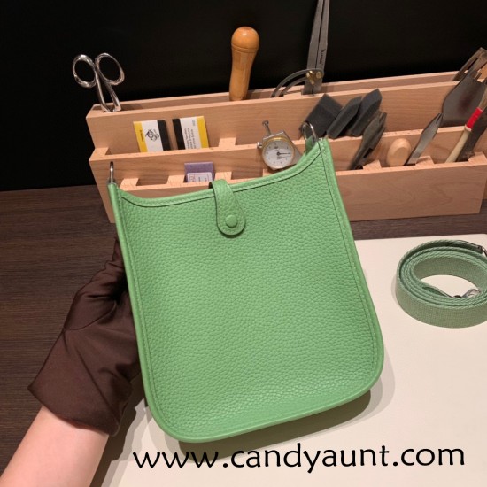 HERMES TPM Mini Evelyn Clemence 3I/Vert Criquet SilverHardware