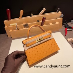 Hermes kelly20 ostrich 19cm 22 /Saffron Gold Hardware Full Handmade kellymini-021