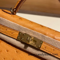 Hermes kelly20 ostrich 19cm 22 /Saffron Gold Hardware Full Handmade kellymini-021