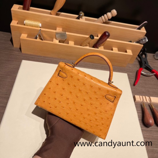 Hermes kelly20 ostrich 19cm 22 /Saffron Gold Hardware Full Handmade kellymini-021