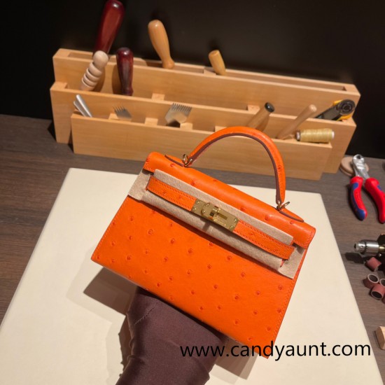 Hermes kelly20 ostrich 19cm 93 /Orange Gold Hardware  Full Handmade kellymini-025