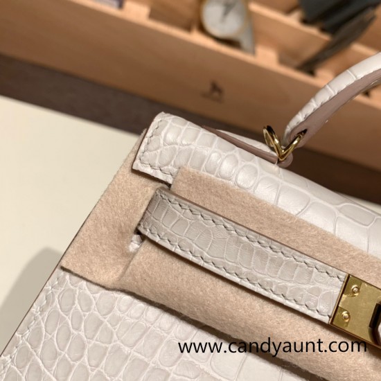 Hermes kelly20 Alligateor crocodile 8L/Beton (Béton) Gold Hardware Full Handmade kellymini-111