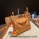 Hermes Mini Lindy Ostrich 37 /Gold Gold Hardware 001