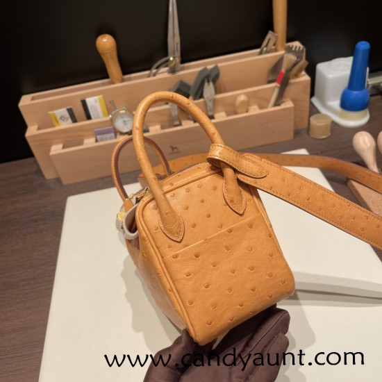 Hermes Mini Lindy Ostrich 37 /Gold Gold Hardware 001