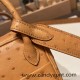 Hermes Mini Lindy Ostrich 37 /Gold Gold Hardware 001