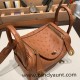 Hermes Mini Lindy Ostrich 37 /Gold Gold Hardware 002