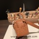 Hermes Mini Lindy Ostrich 37 /Gold Gold Hardware 002