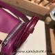 Hermes Mini Lindy touch P9 / Anemone Silver Hardware 005