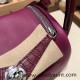 Hermes Mini Lindy touch P9 / Anemone Silver Hardware 005