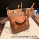 Hermes Mini Lindy touch 37 / Gold Gold Hardware 006