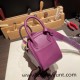 Hermes Mini Lindy swift P9 /Anemone Gold Hardware 008