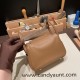 Hermes Mini Lindy 3G/ Alezan& 4B /Biscuit Gold Hardware 020