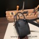 Hermes Mini Lindy Clemence 89 /Black Gold Hardware 050