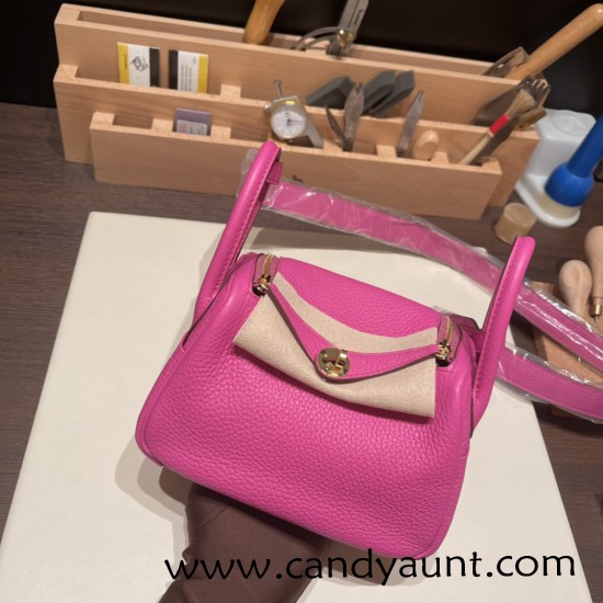 Hermes Mini Lindy Clemence 9I /Magnolia Gold Hardware 074