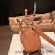 Hermes Mini Lindy Clemence 37/ Gold Silver Hardware 079