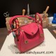 Hermes Mini Lindy Clemence I6 /Rose Extreme Gold Hardware 098